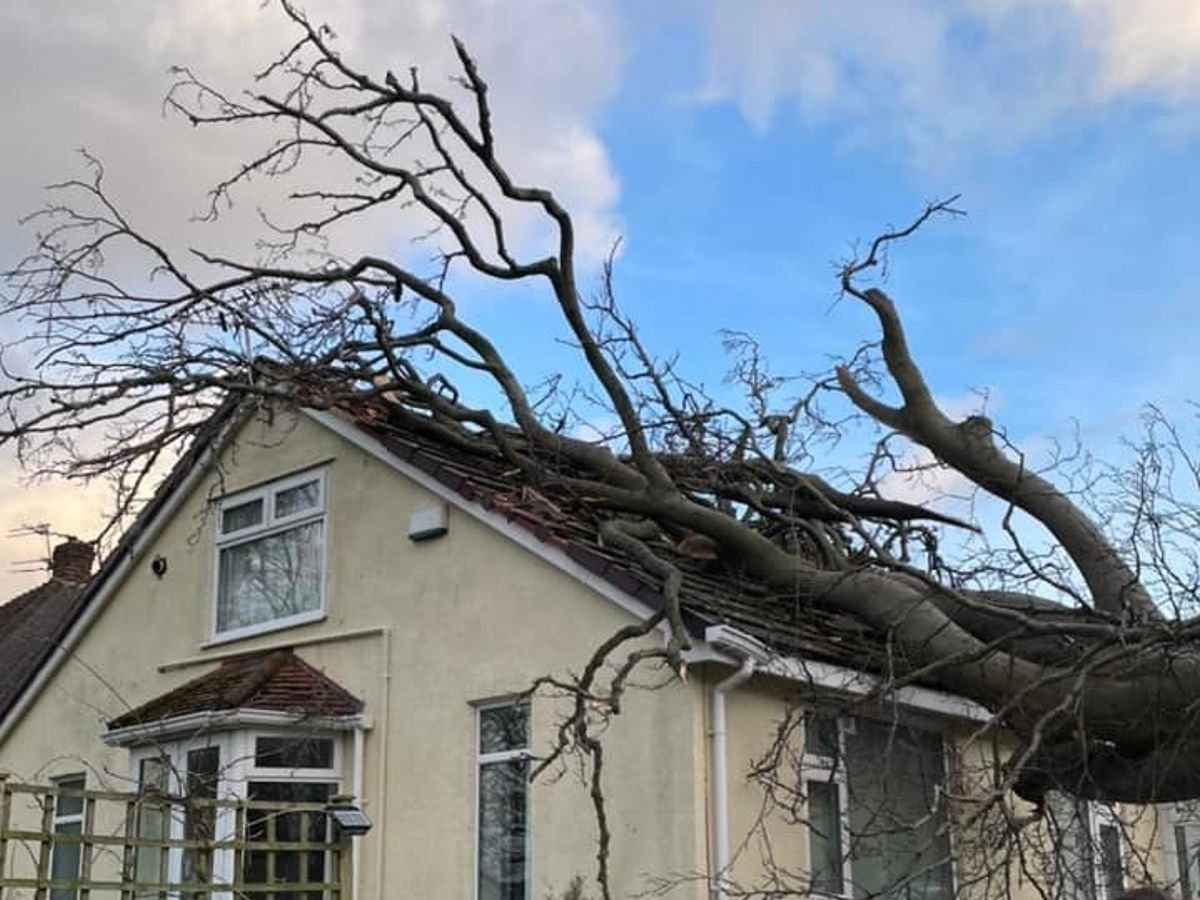 Emergency Roofing thumbnail 6